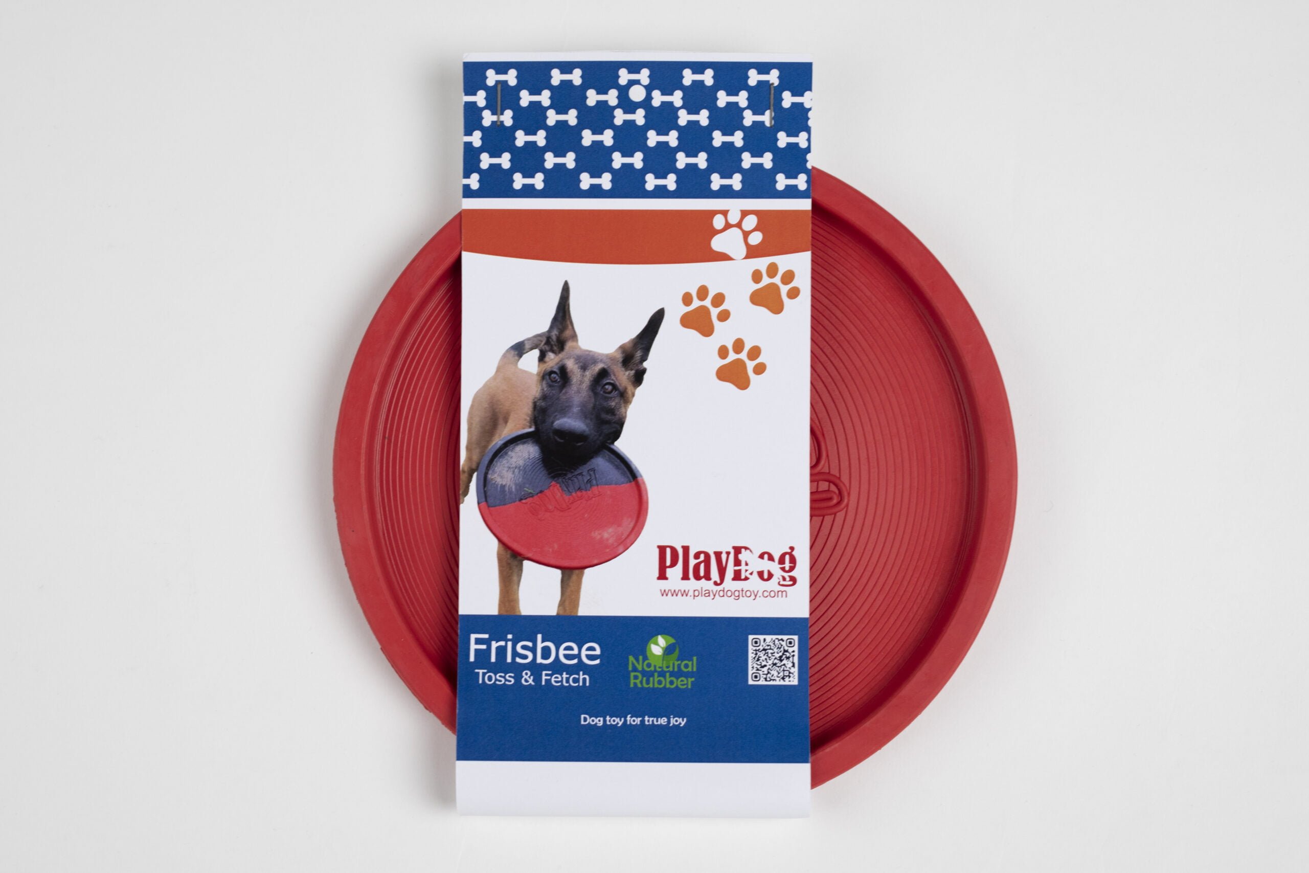 Fisbee PlayDog